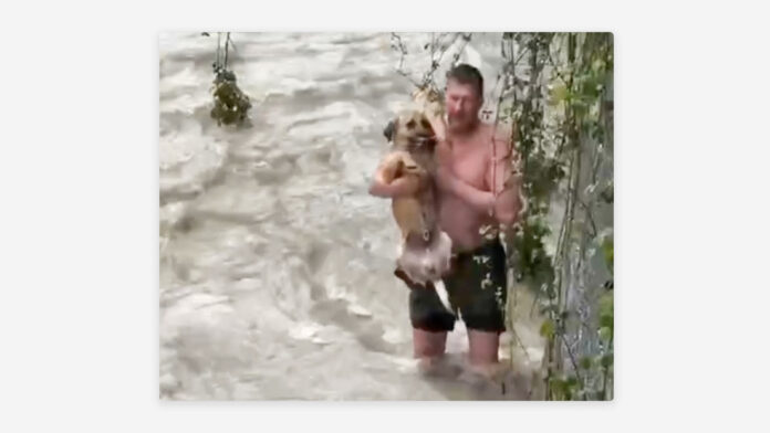 Salva a un perro de morir en un río embravecido