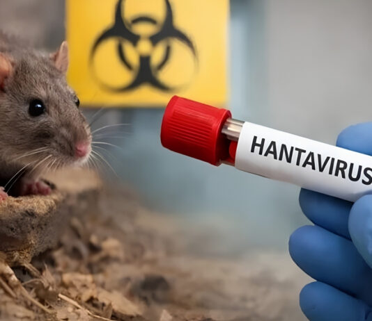 España recibirá crucero donde se detectó brote de hantavirus España recibirá crucero donde se detectó brote de hantavirus