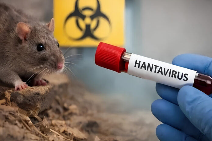 España recibirá crucero donde se detectó brote de hantavirus