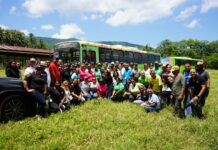 OMSA desarrolla jornada de reforestación en ocasión del Día del Árbol OMSA desarrolla jornada de reforestación en ocasión del Día del Árbol