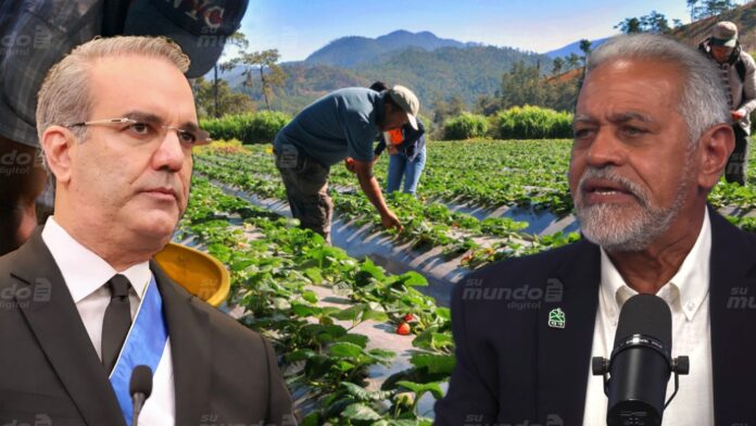 Crisis del agro dominicano: bajos salarios y poca inversión preocupan a Modesto Reyes