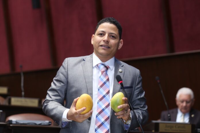 Luis Báez atribuye a negligencia de Agricultura pérdidas de productores de mango en Baní