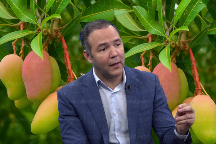 Johnny Pujols atribuye restricción al mango a falta de previsión del Gobierno