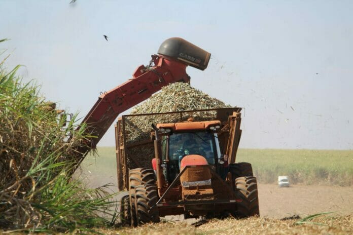 Estados Unidos condena condiciones de trabajo de la industria azucarera en RD