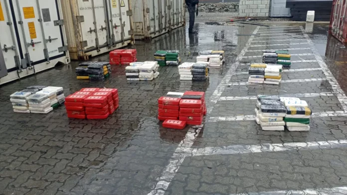 DNCD incauta 359 paquetes de cocaína en el Puerto Multimodal Caucedo