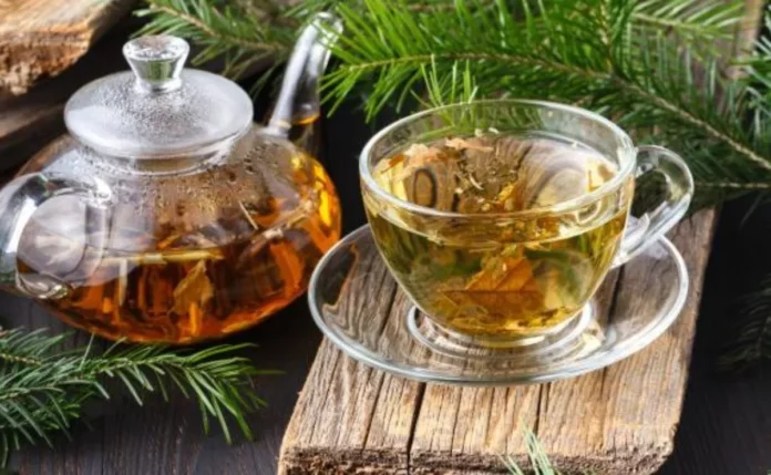 Tomar té reduce el riesgo de morir por cualquier causa