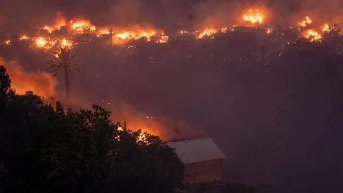 Incendio en Viña del Mar: Chile declara el estado de catástrofe