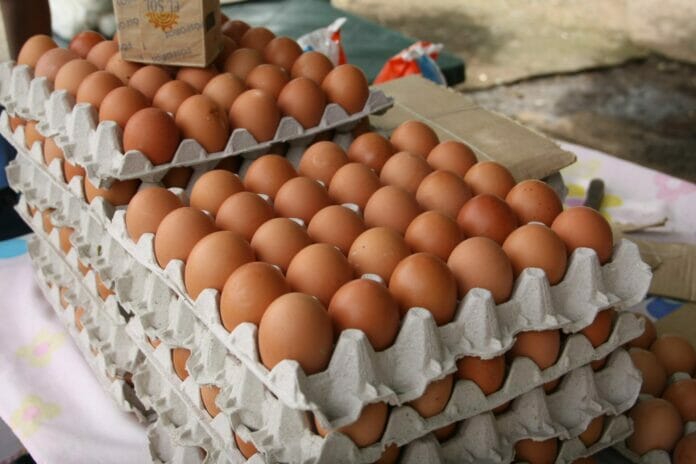 Gobierno prohíbe exportación de huevos por 15 días