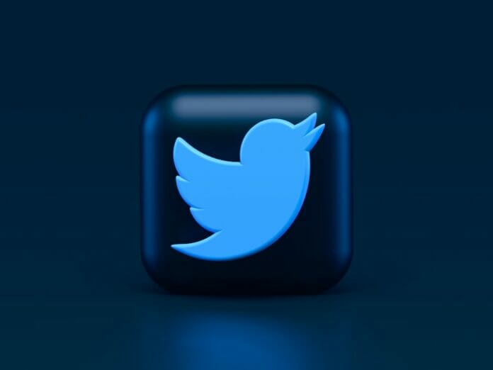 Alternativas para proteger cuenta de Twitter sin suscripción