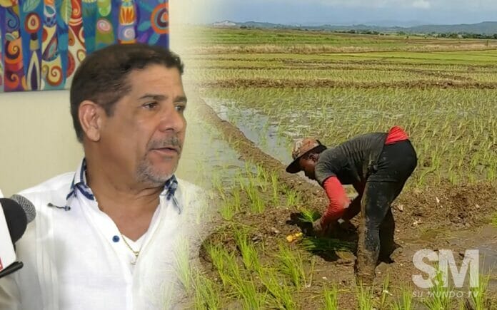 Ministro de Agricultura asegura trabaja para enfrentar sequía