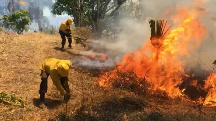 Incendios forestales y sequía deja pérdidas cuantiosas en Monte Plata