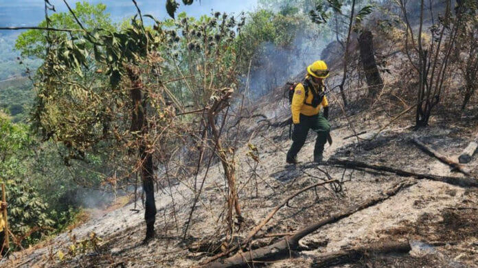 Medio Ambiente persigue desaprensivos que provocaron incendios en diferentes partes del país