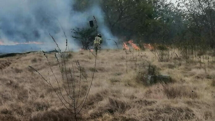 Incendio forestal en Valle Nuevo bajo estaría sofocado en las próximas horas