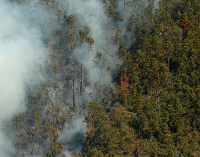 Incendios forestales: Abinader pide a la justicia ser drástica con responsables