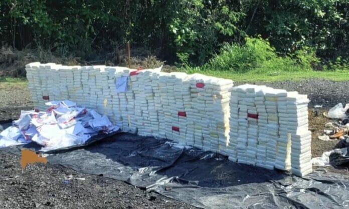 PGR incinera otro cargamento de 865 kilogramos de drogas