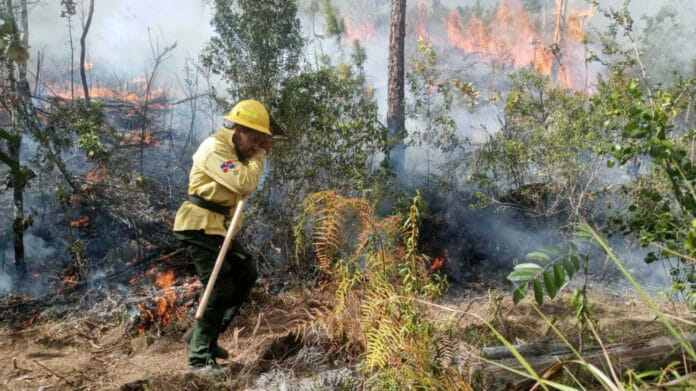Medio Ambiente continúa combatiendo incendios forestales