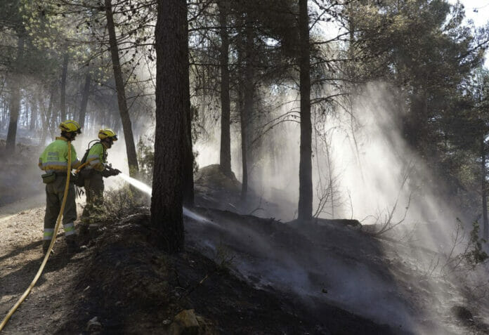 Kazajistán incendios | 14 muertos y 60 000 hectáreas calcinadas