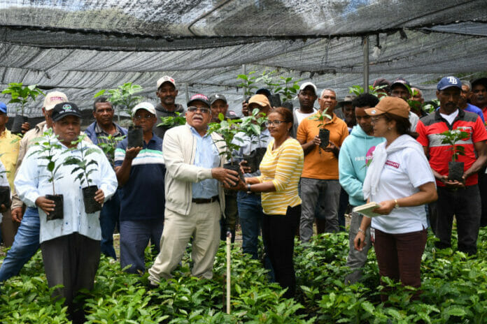 Gobierno implementará programa de siembra de café en zonas productivas