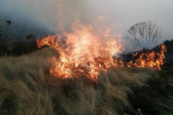 UE pide más aviones para enfrentar incendios forestales