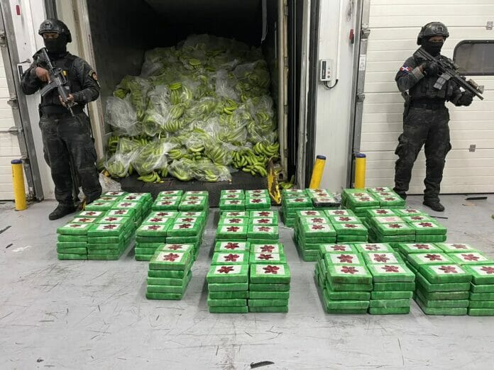 DNCD busca en norte miembros red traficaba cocaína en productos agrícolas
