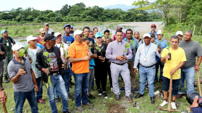 Desarrollan jornada de reforestación en sección Caribe, del río Yuna