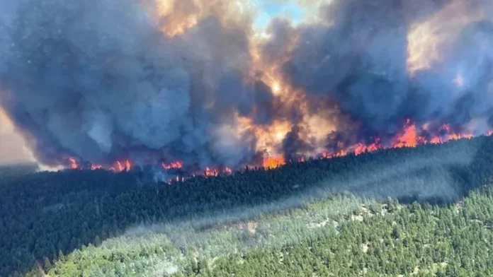 Canadá: Evacuaciones por incendios forestales colapsan carreteras y aeropuertos