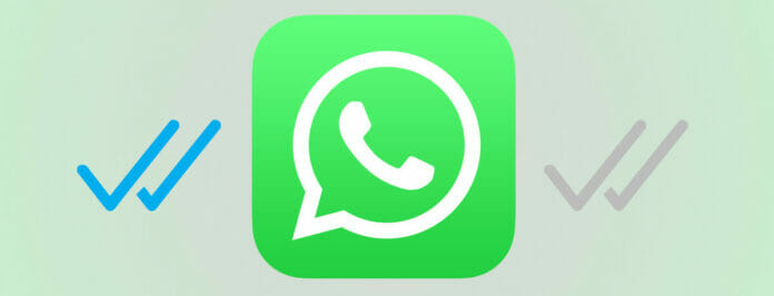 WhatsApp: el truco para saber si leyeron tu mensaje sin el doble tilde azul