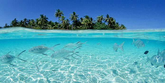 Playas