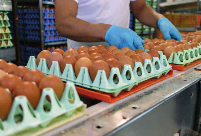 Productores huevos piden revocar cierre de frontera