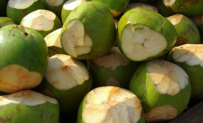 RD envía los dos primeros contenedores de coco de agua a EEUU