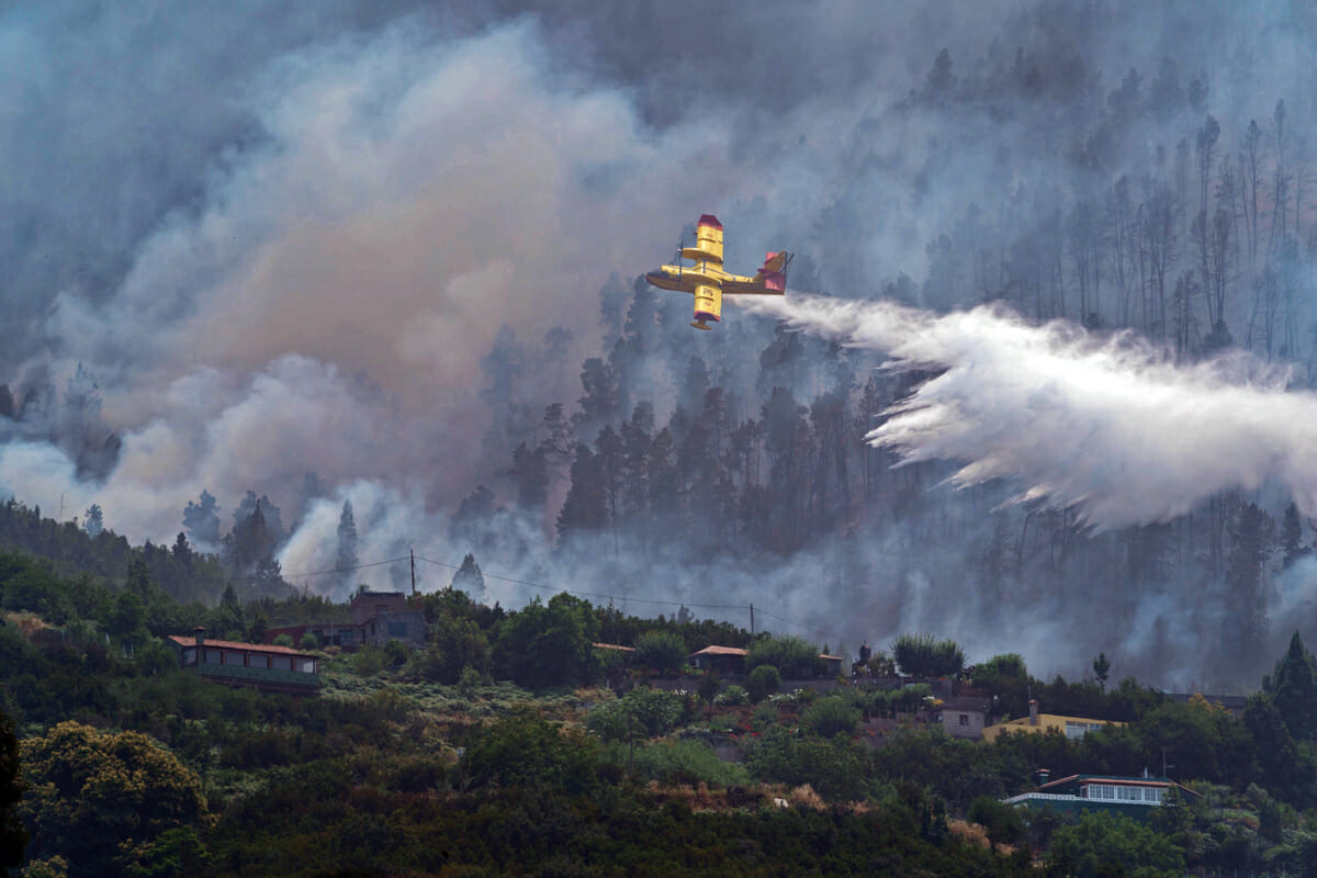 Incendios forestales en Tenerife: Un paraíso en llamas