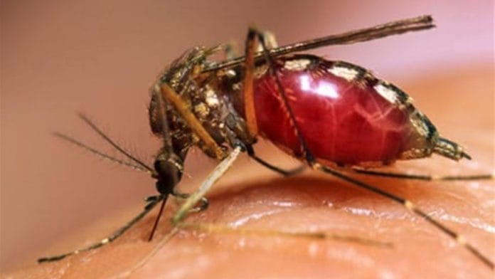 Dengue