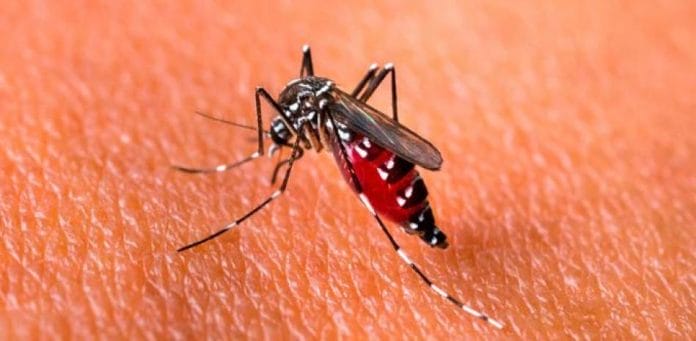 El dengue sigue cobrando vidas en RD, aumentan a 13