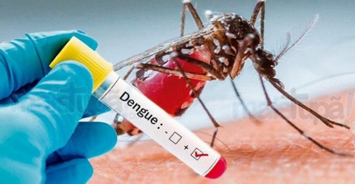 CMD, sociedades médicas y Salud Pública se unen para combatir el dengue