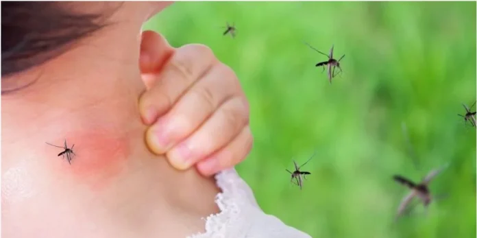 Pediatras responden a declaraciones del director SNS sobre rebote pacientes con dengue