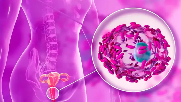 Crean el primer mapa del microbioma de la vagina