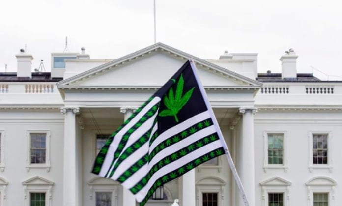 Biden indulta miles de condenados por cargos de marihuana en tierras federales y Washington