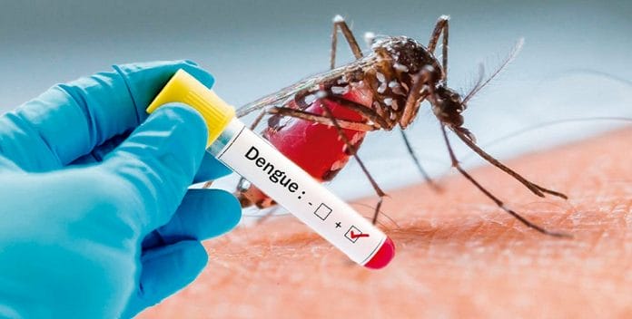 OMS recomienda primera vacuna contra el dengue
