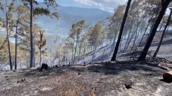 Medio Ambiente invita a prevenir los incendios forestales