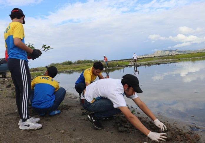Celebran Día Mundial de la Conservación de los Humedales plantando mangles en Baní y Montecristi