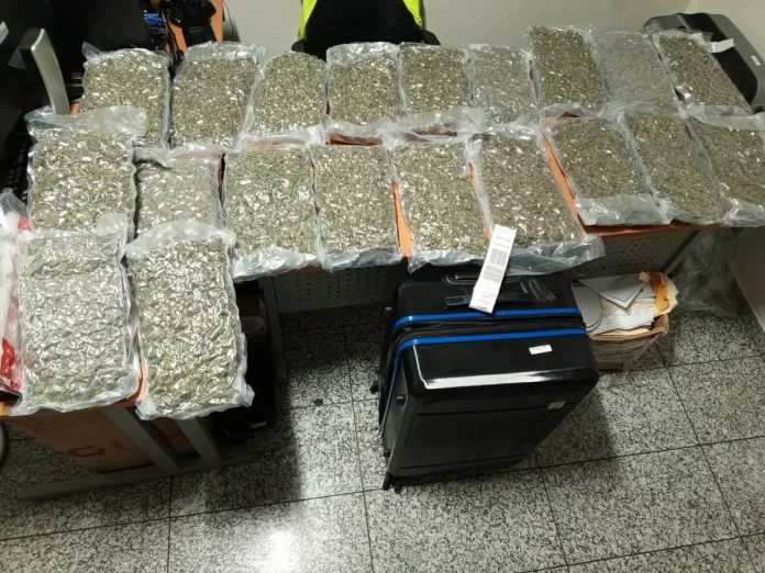 Decomisan 40 paquetes de marihuana en el AILA