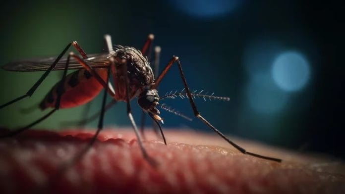 Radiografía del dengue: hay 14 provincias con casos autóctonos y 3 serotipos en circulación