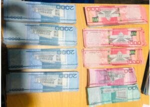 47cb8ff7 46c6 48a5 9cc2 208e1d36d48f 300x214 1