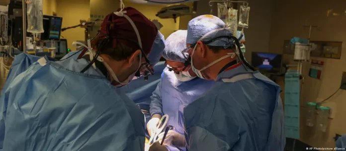 Primer trasplante de un riñón de cerdo a un paciente vivo