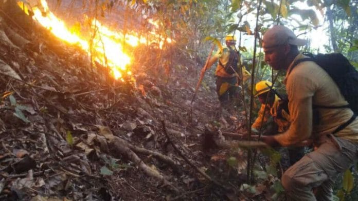 Bomberos forestales combaten incendios en distintos puntos del país durante SS