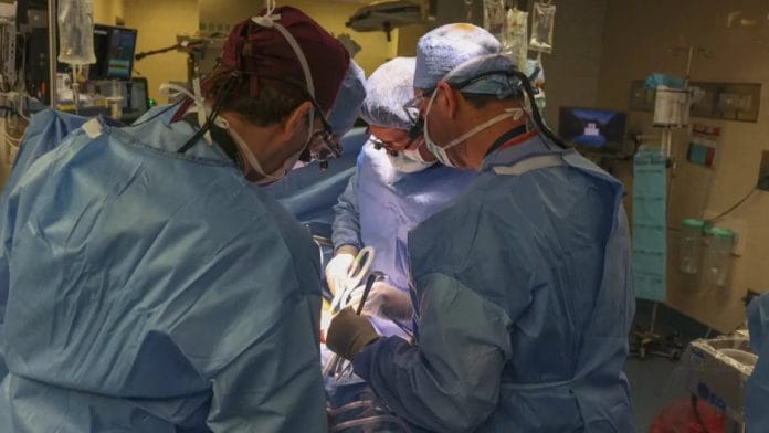 EE.UU. realiza el primer trasplante de riñón de cerdo genéticamente modificado a un paciente vivo