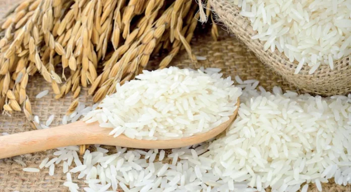 Pro Consumidor dice estudios de laboratorio revelan arroz que se consumen en el país no tiene metales pesados