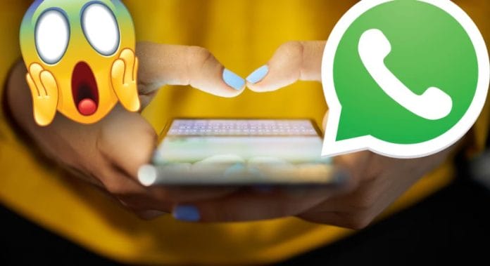 WhatsApp: cambios que deberán aceptar usuarios para seguir usando la aplicación