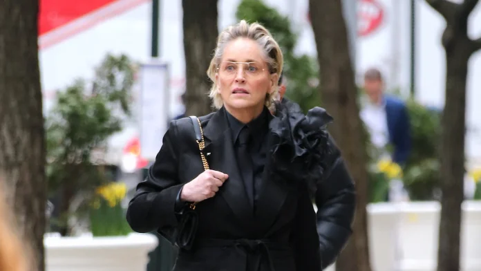 Sharon Stone demandada por USD 35 mil por accidente automovilístico