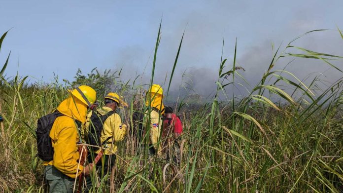 Bomberos forestales y guardaparques extinguieron el incendio en Cabarete y Goleta